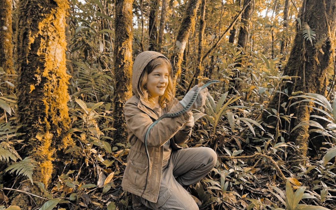 Den Namen tanzen – Waldorfpädagogik verstehen und Missverständnisse aufklären