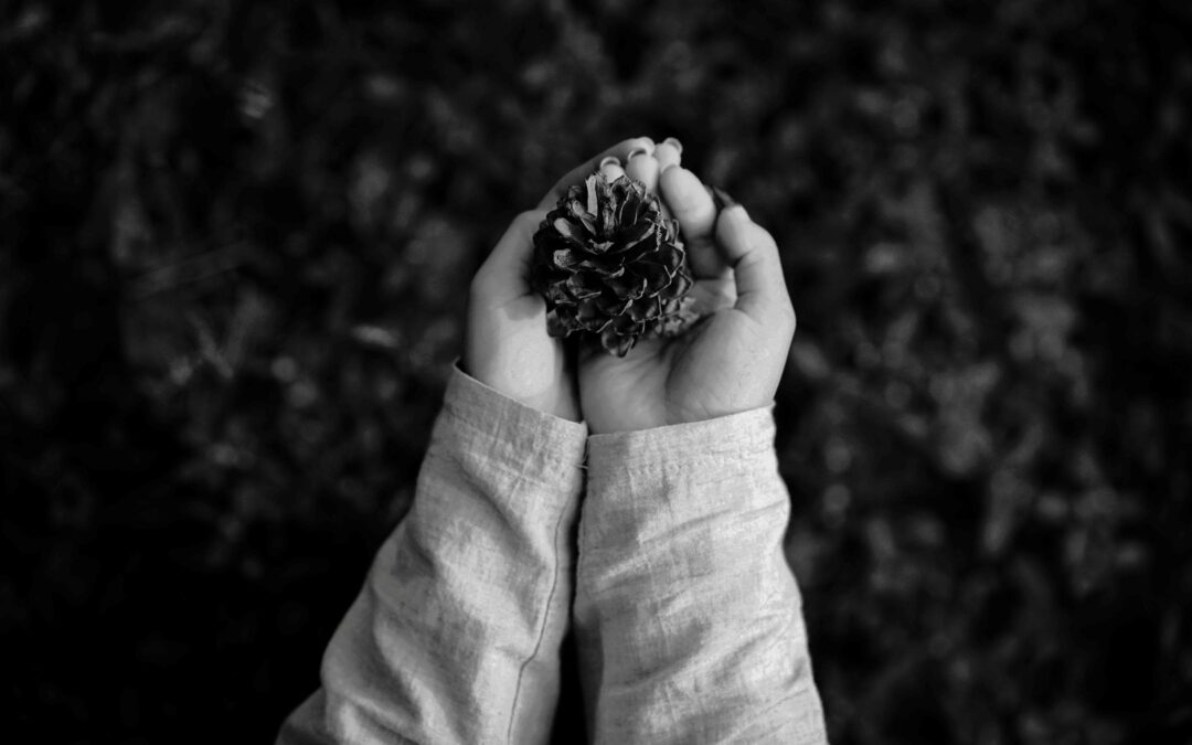 Doomsday Vault auf Spitzbergen – Alles über den globalen Saatgut-Tresor der Menschheit