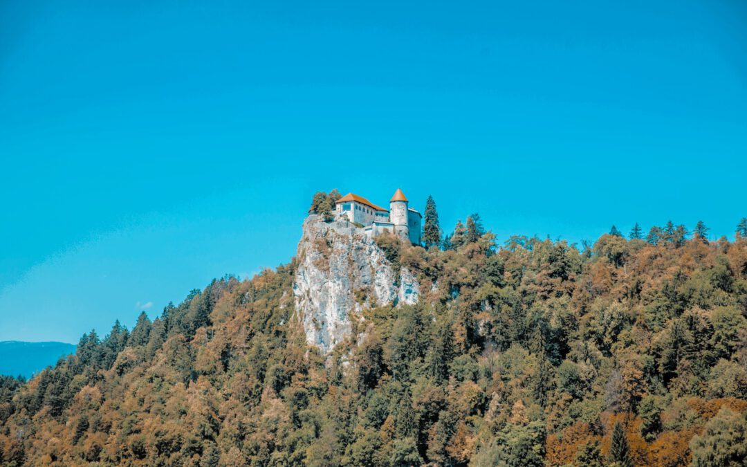 Privatvermögen schützen: Deutsche vs Liechtensteiner Stiftung