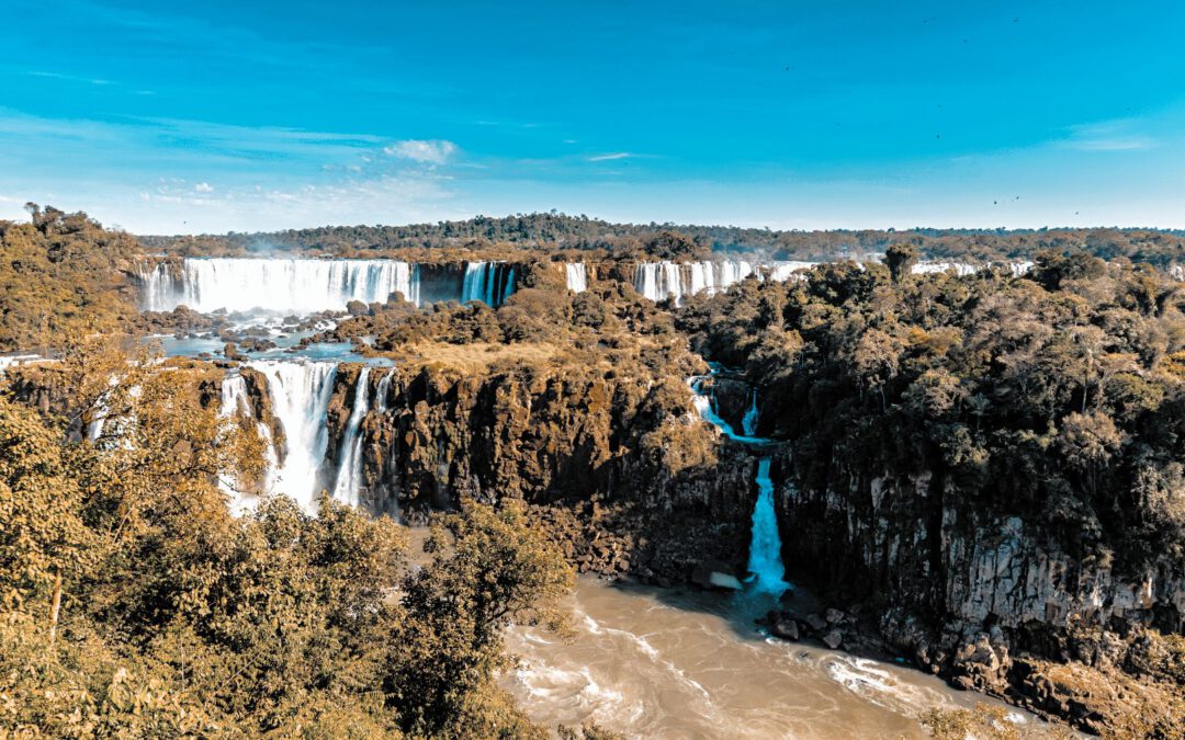 Investition mit Stabilität: Rinder Rendite – Die nachhaltige Alternative für Ihr Portfolio