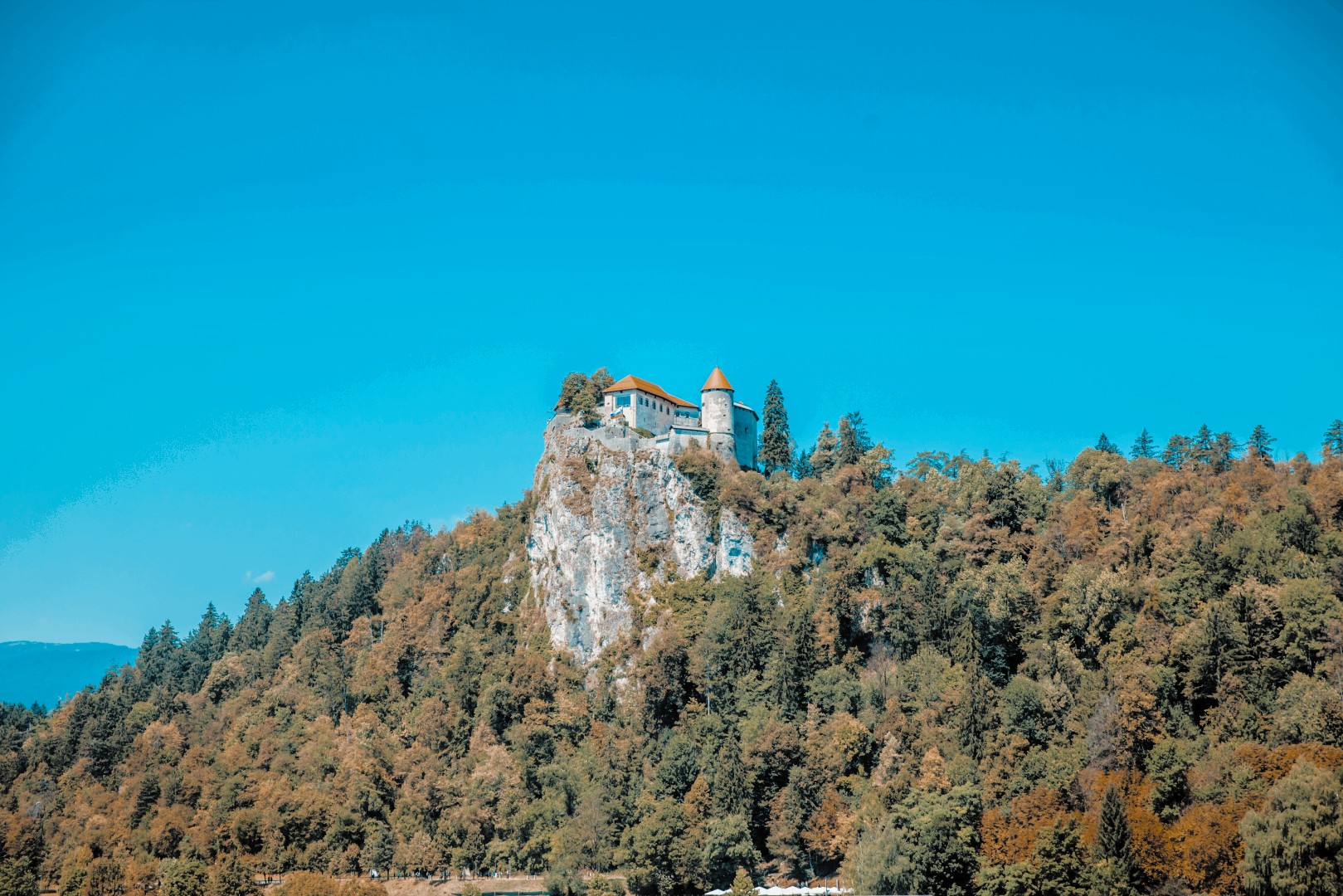 Privatvermögen schützen: Deutsche vs Liechtensteiner Stiftung - Vergleich der rechtlichen Strukturen